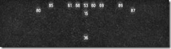 Singleback | Offense | Offensive Formations